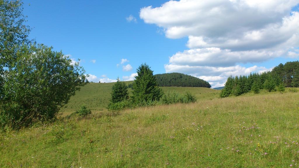 Becze Vanda Kulcsoshaz Lăzarea Eksteriør billede